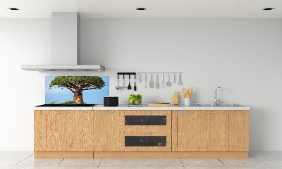Spatscherm keuken Baobab