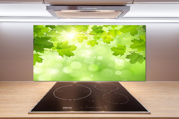 Spatplaat keuken Paardenkastanjebladeren