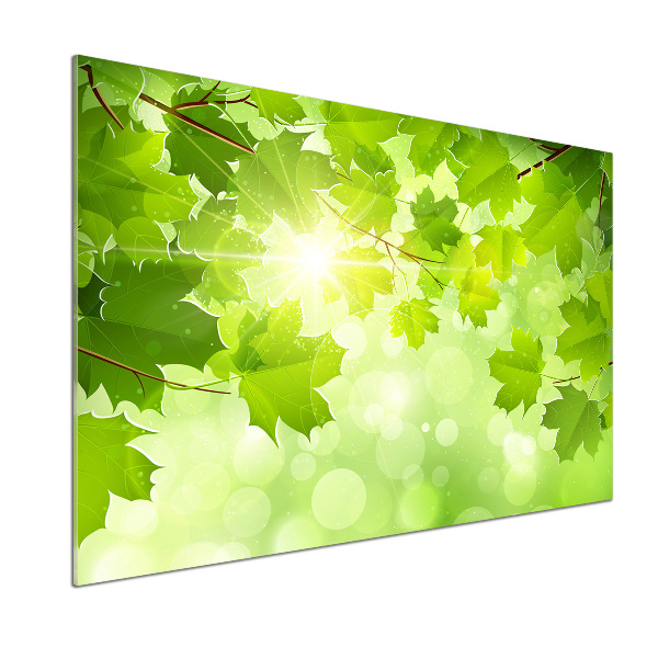 Spatplaat keuken Paardenkastanjebladeren