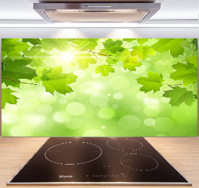 Spatplaat keuken Paardenkastanjebladeren