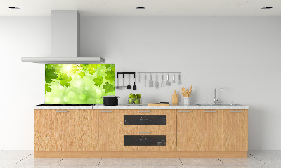 Spatplaat keuken Paardenkastanjebladeren