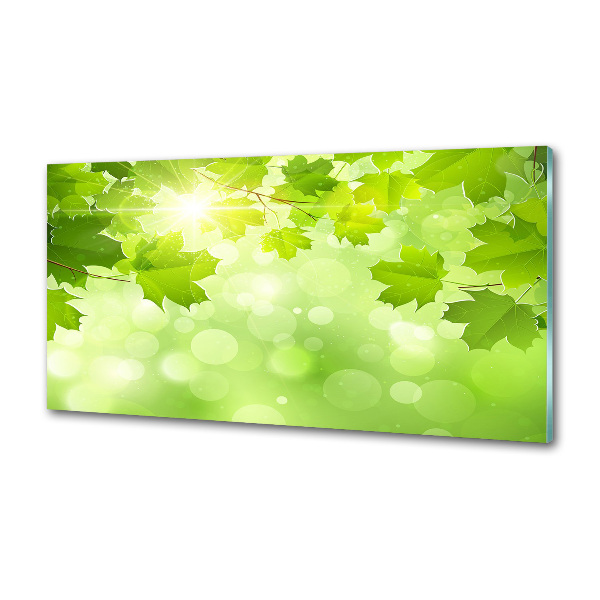 Spatplaat keuken Paardenkastanjebladeren