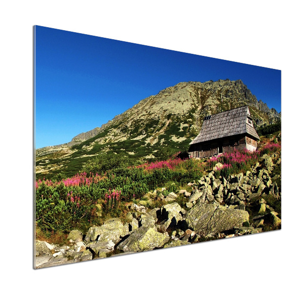 Glazen achterwand keuken Herdershut in het dal