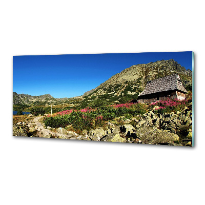 Glazen achterwand keuken Herdershut in het dal