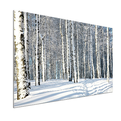 Keuken achterwand Bos in de winter