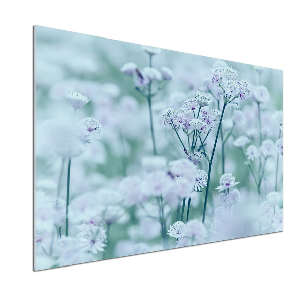 Glazen achterwand keuken Grote mantelkruid