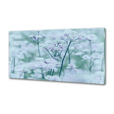 Glazen achterwand keuken Grote mantelkruid