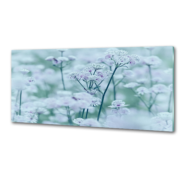 Glazen achterwand keuken Grote mantelkruid