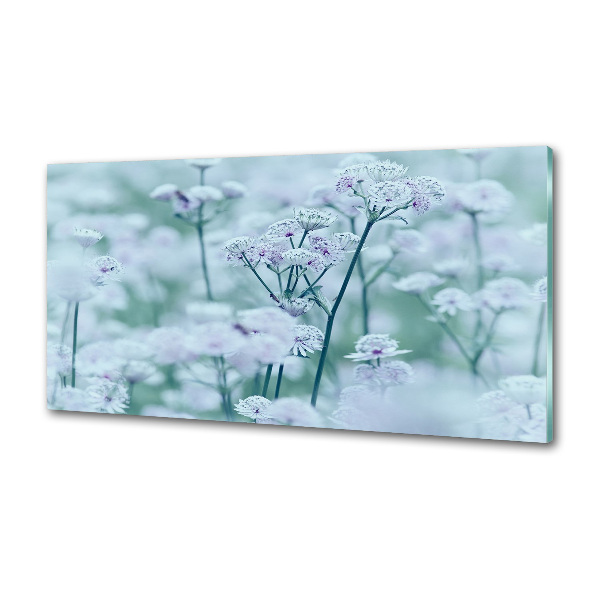 Glazen achterwand keuken Grote mantelkruid