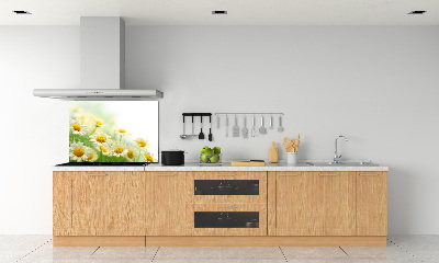 Glazen achterwand keuken Madeliefjes