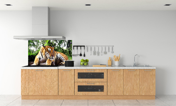Achterwand keuken Tijger op een rots