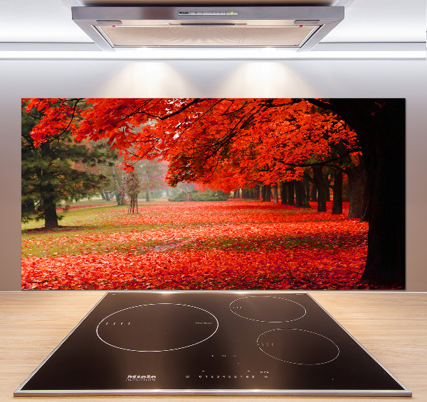 Spatplaat keuken Bomen in de herfst