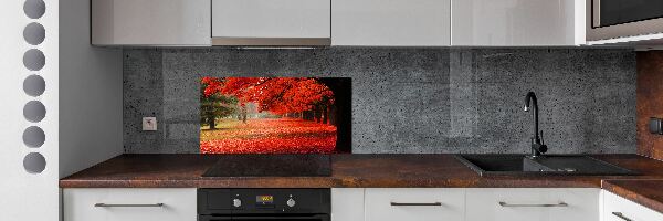 Spatplaat keuken Bomen in de herfst