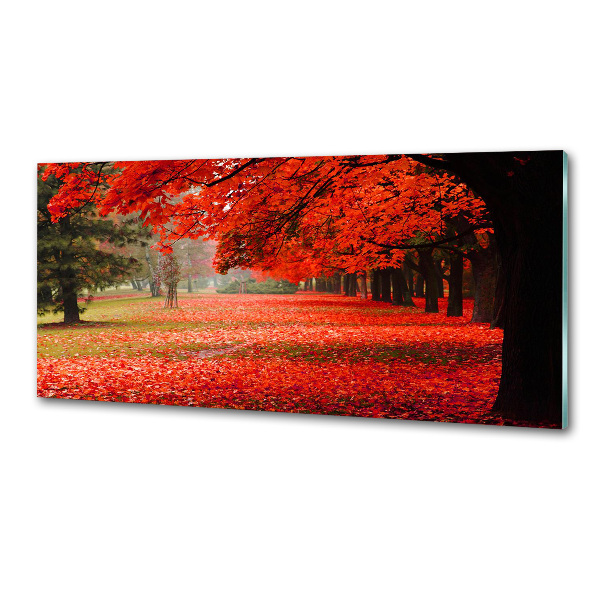 Spatplaat keuken Bomen in de herfst