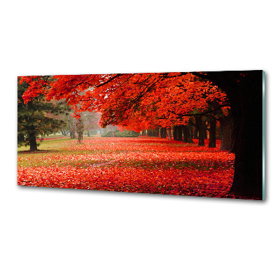 Spatplaat keuken Bomen in de herfst