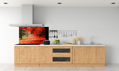 Spatplaat keuken Bomen in de herfst