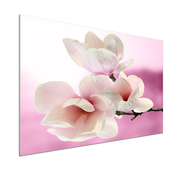 Keuken achterwand Magnolia