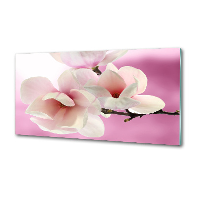 Keuken achterwand Magnolia