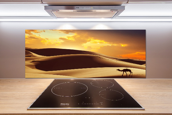 Keuken achterwand Sahara-kameel