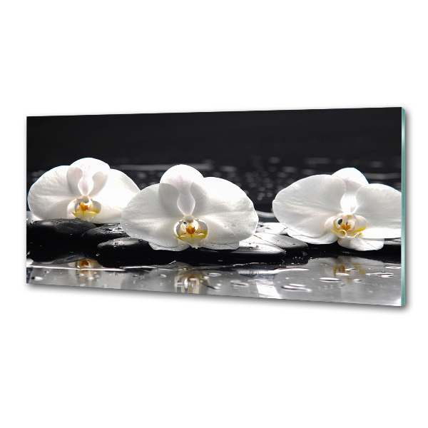 Spatscherm keuken Orchidee