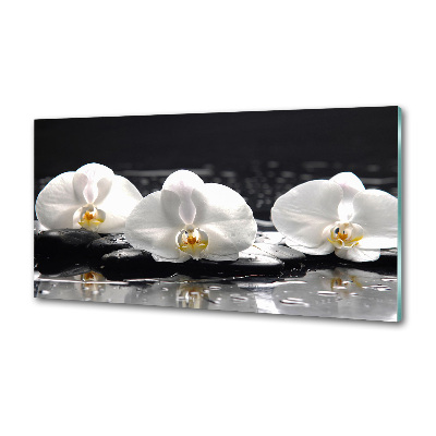 Spatscherm keuken Orchidee