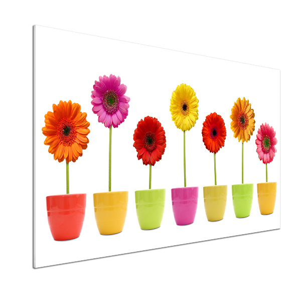 Keuken achterwand Kleurrijke gerbera's
