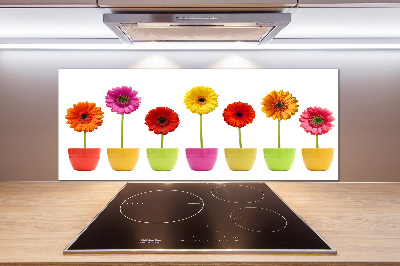 Keuken achterwand Kleurrijke gerbera's