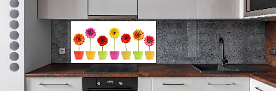 Keuken achterwand Kleurrijke gerbera's