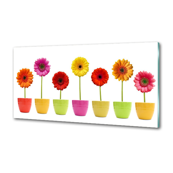 Keuken achterwand Kleurrijke gerbera's