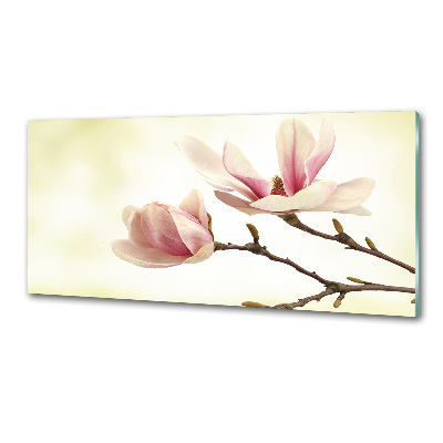 Spatscherm keuken Magnolia