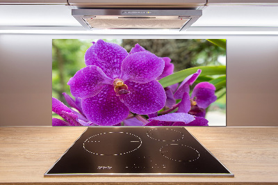 Keuken achterwand Orchidee