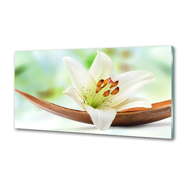 Glazen achterwand keuken Lelie