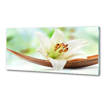 Glazen achterwand keuken Lelie