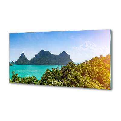 Glazen achterwand keuken Panorama Thailand