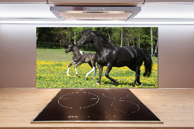 Achterwand keuken Merrie met veulen