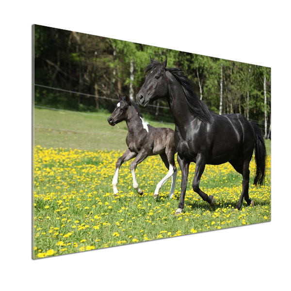 Achterwand keuken Merrie met veulen