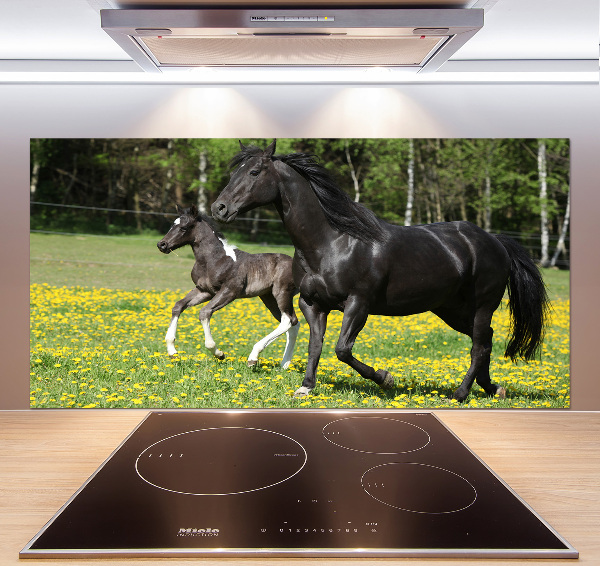 Achterwand keuken Merrie met veulen