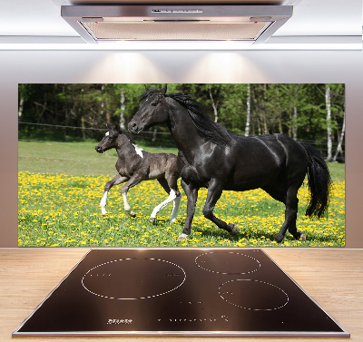 Achterwand keuken Merrie met veulen