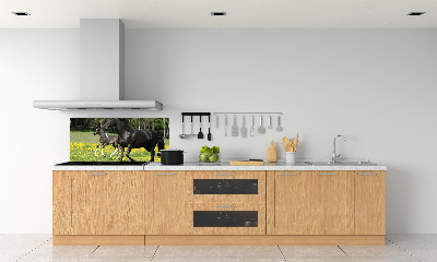 Achterwand keuken Merrie met veulen