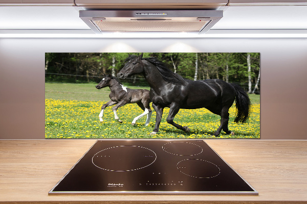 Achterwand keuken Merrie met veulen