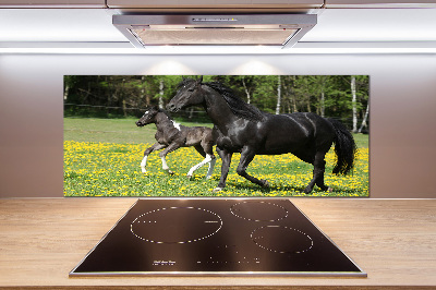 Achterwand keuken Merrie met veulen