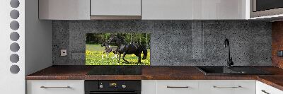 Achterwand keuken Merrie met veulen