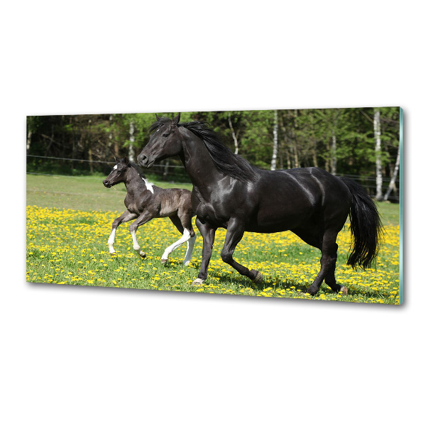 Achterwand keuken Merrie met veulen