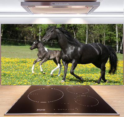 Achterwand keuken Merrie met veulen