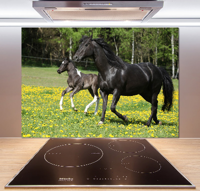 Achterwand keuken Merrie met veulen