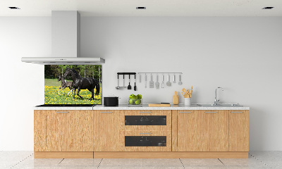 Achterwand keuken Merrie met veulen