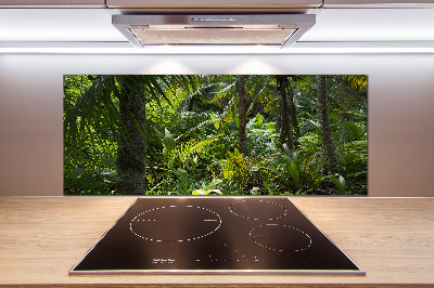 Keuken achterwand Tropisch bos