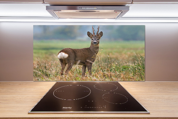 Spatplaat keuken Roe