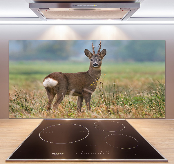 Spatplaat keuken Roe