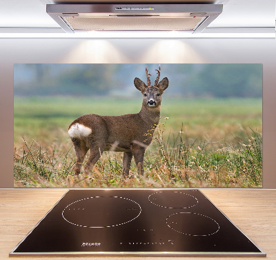 Spatplaat keuken Roe